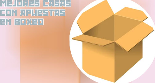 Apuestas box