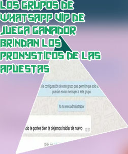 Grupos de apuestas whatsapp